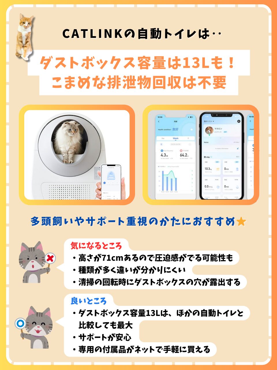 CATLINK