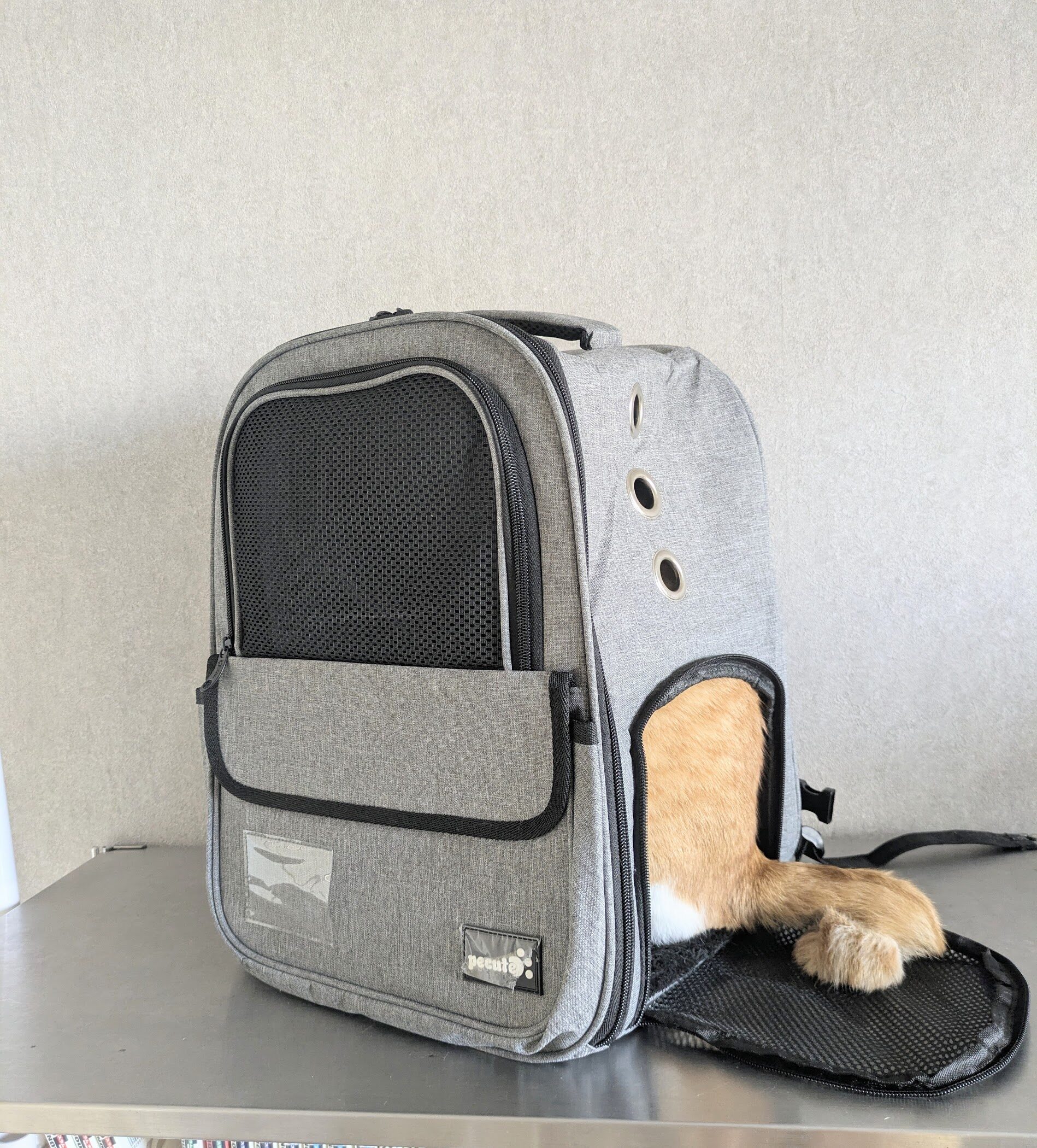 ねこ 防災
