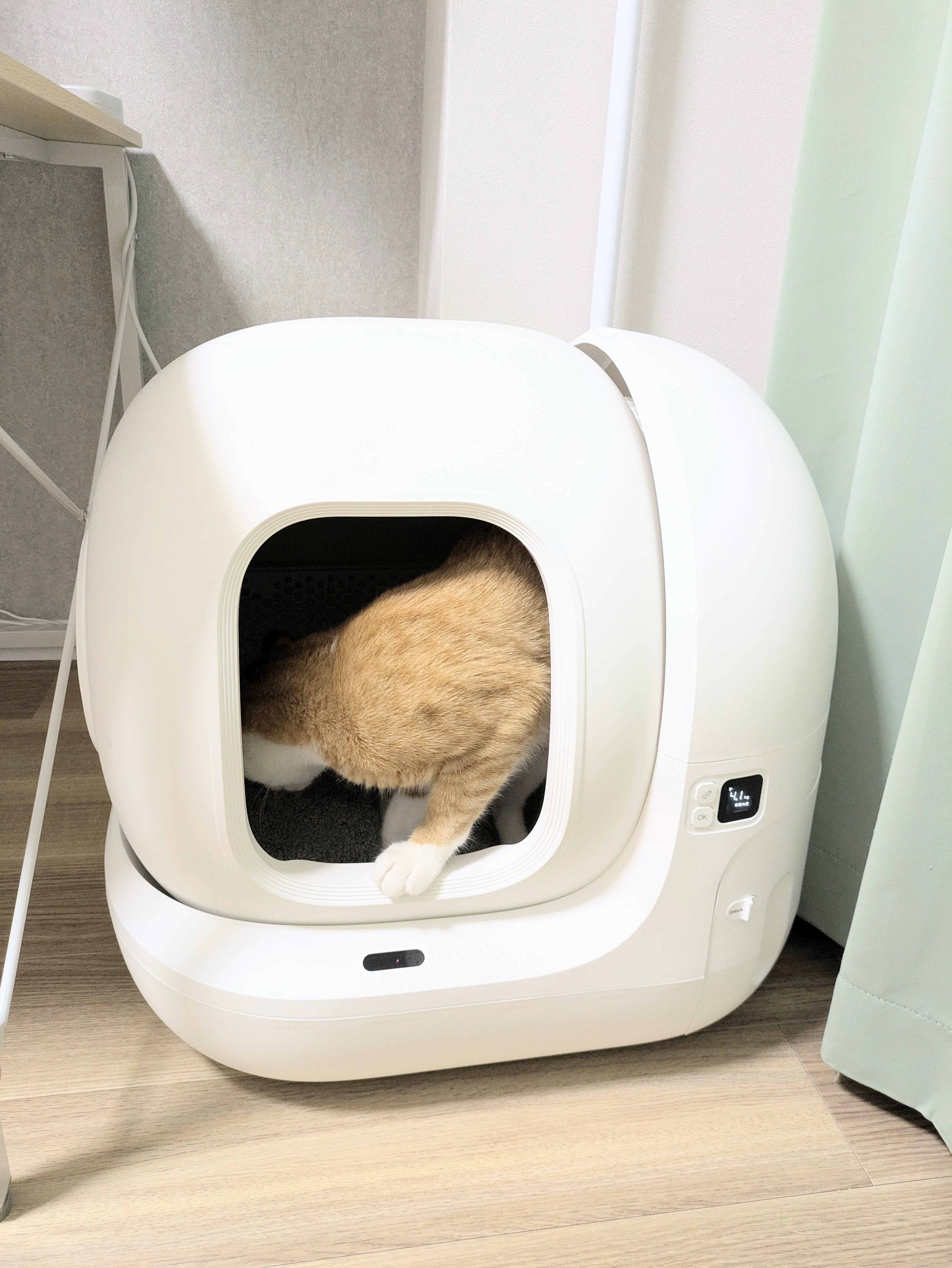 猫用自動トイレPETKIT