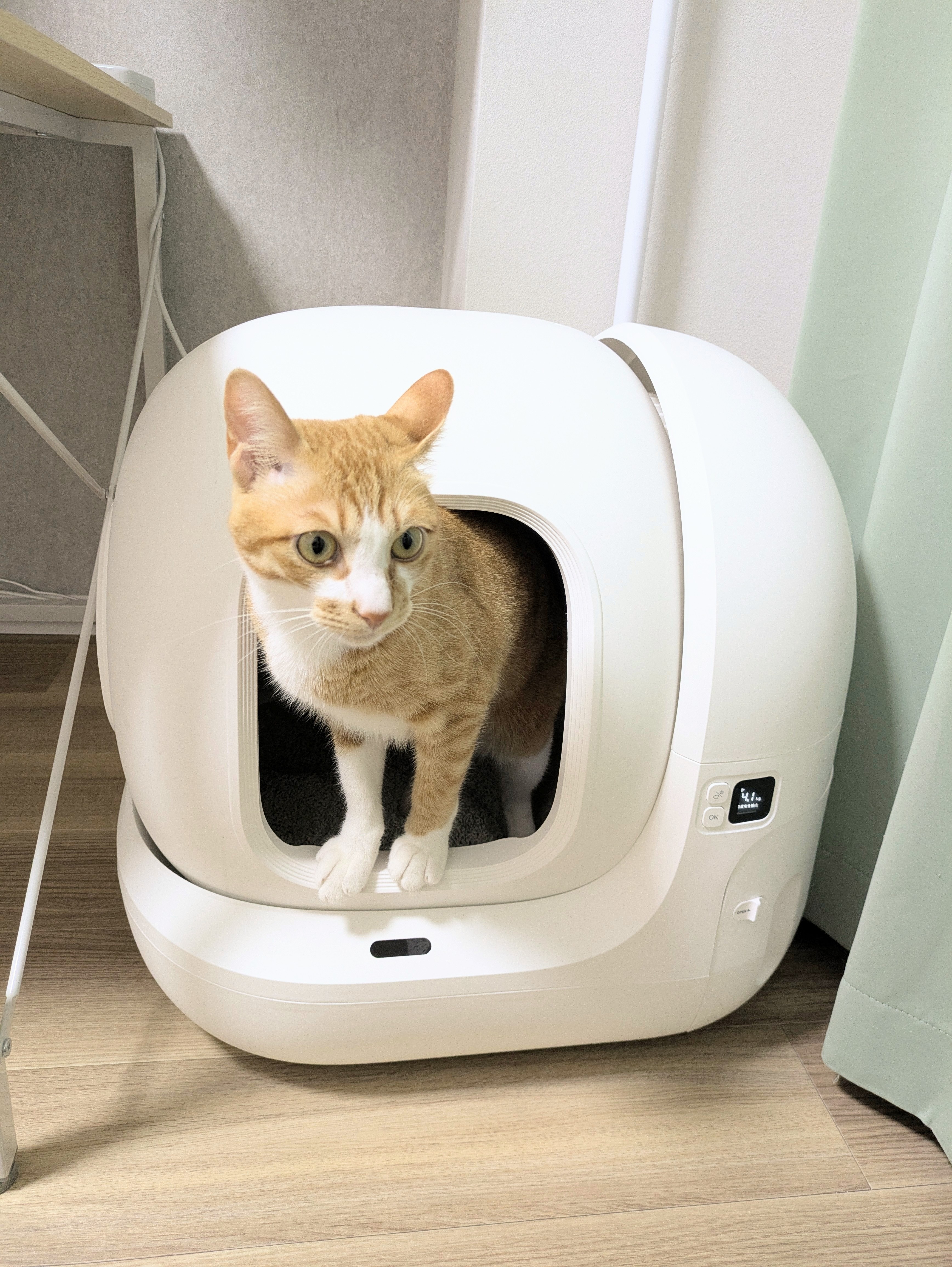 猫用自動トイレPETKIT