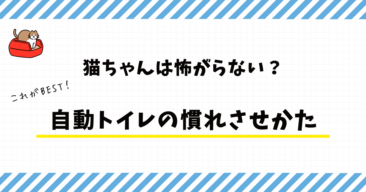 猫トイレアイキャッチ