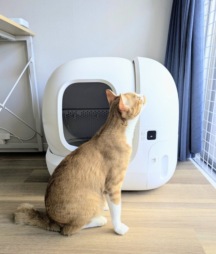 自動ねこトイレ　PETKIT