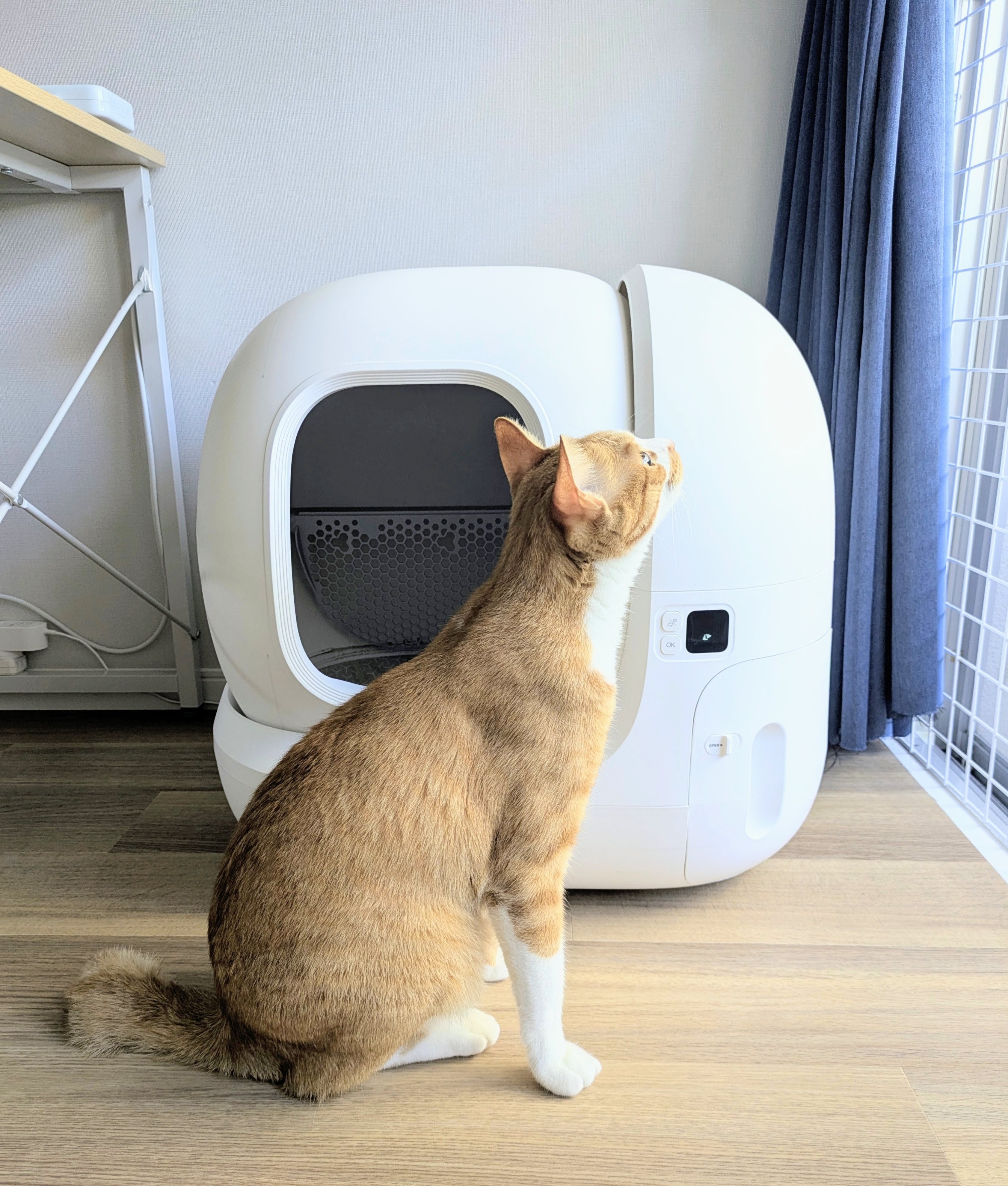 自動ねこトイレ　PETKIT