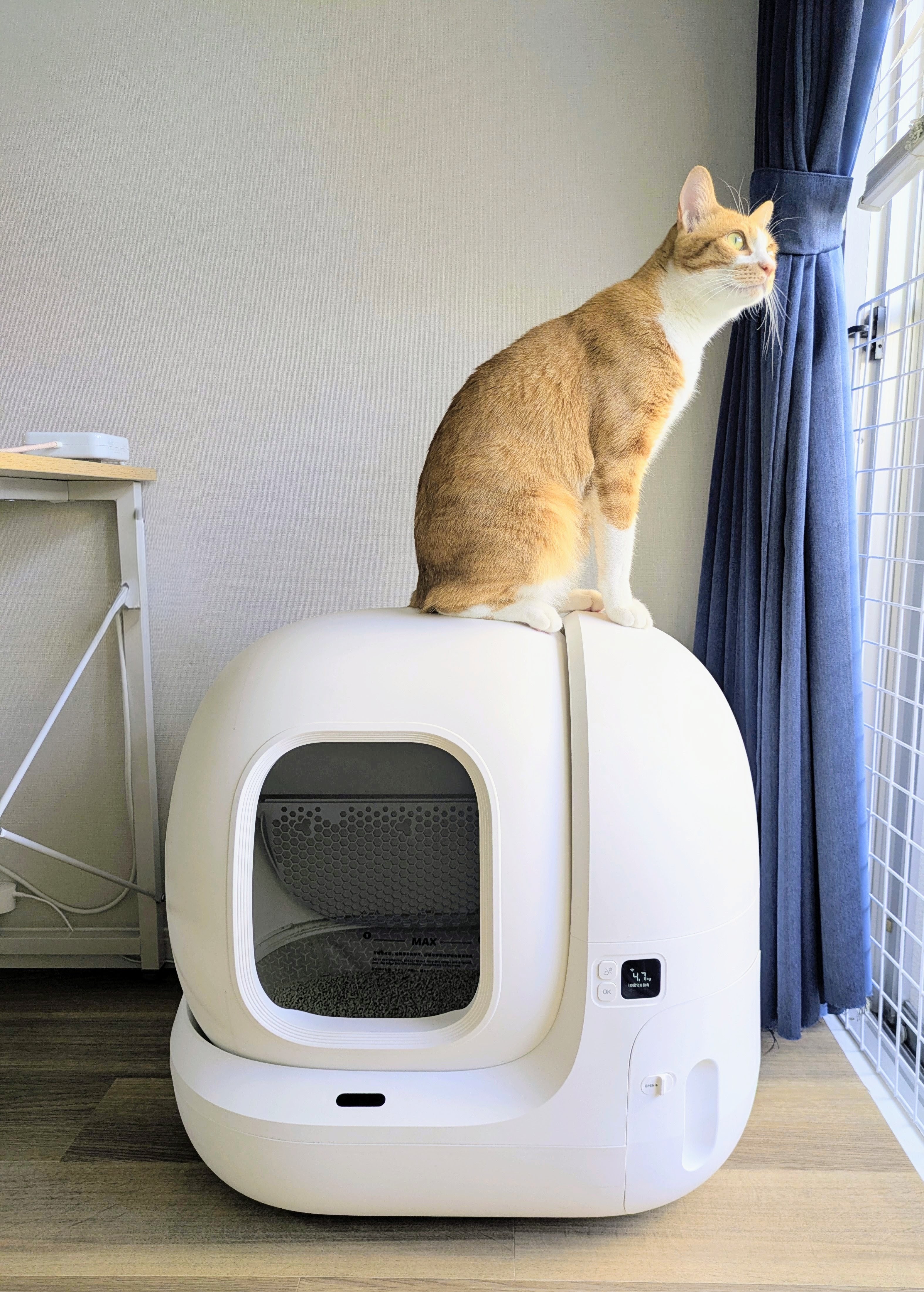 自動ねこトイレ PETKIT