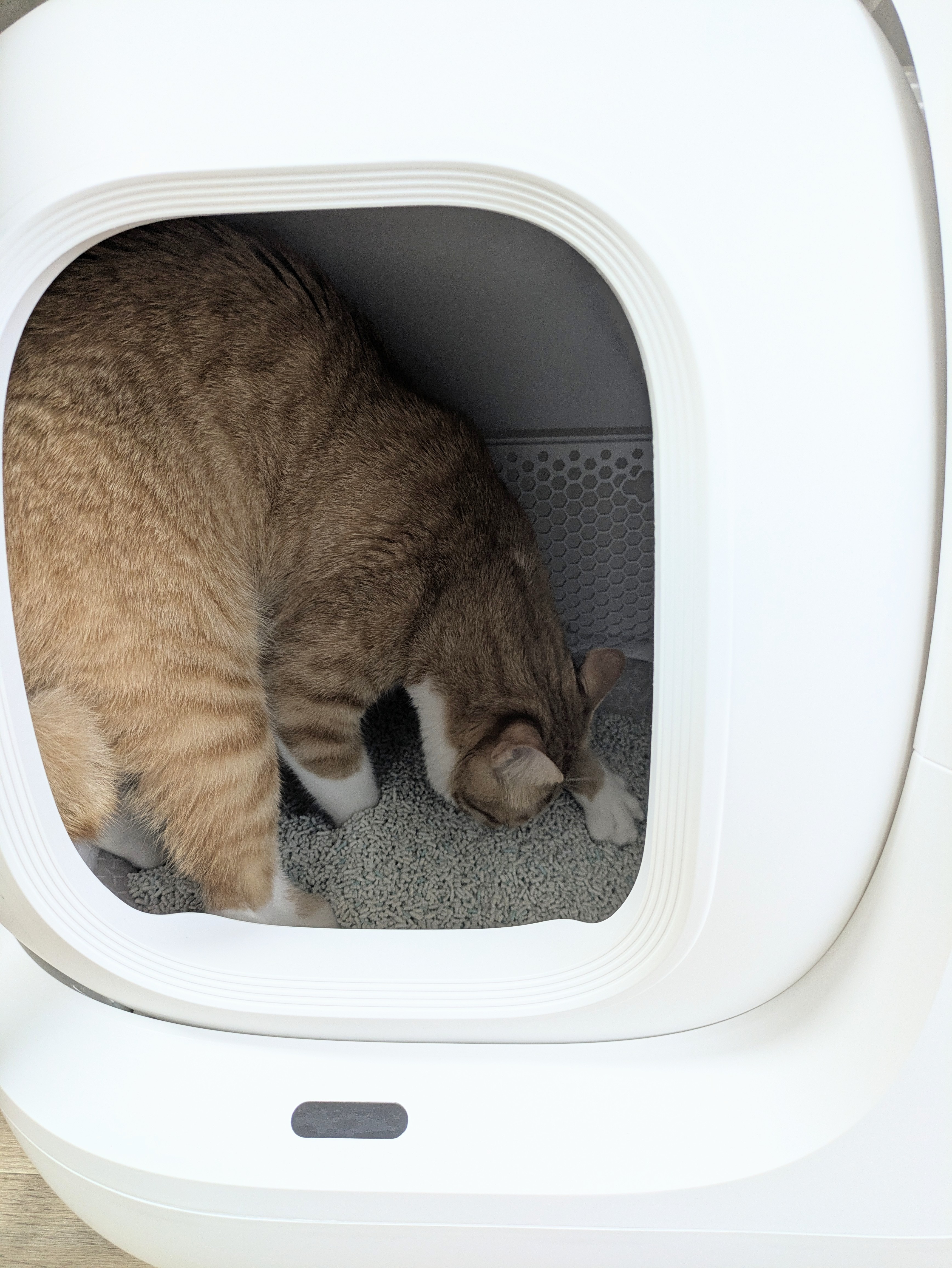 自動トイレ　PETKIT