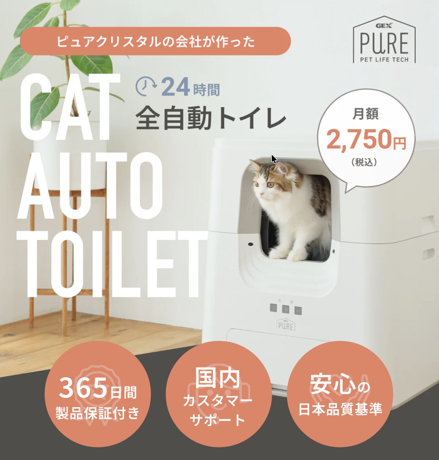 1ヶ月だけレンタルもOK】初月980円でお試しできる！いま話題の猫用自動